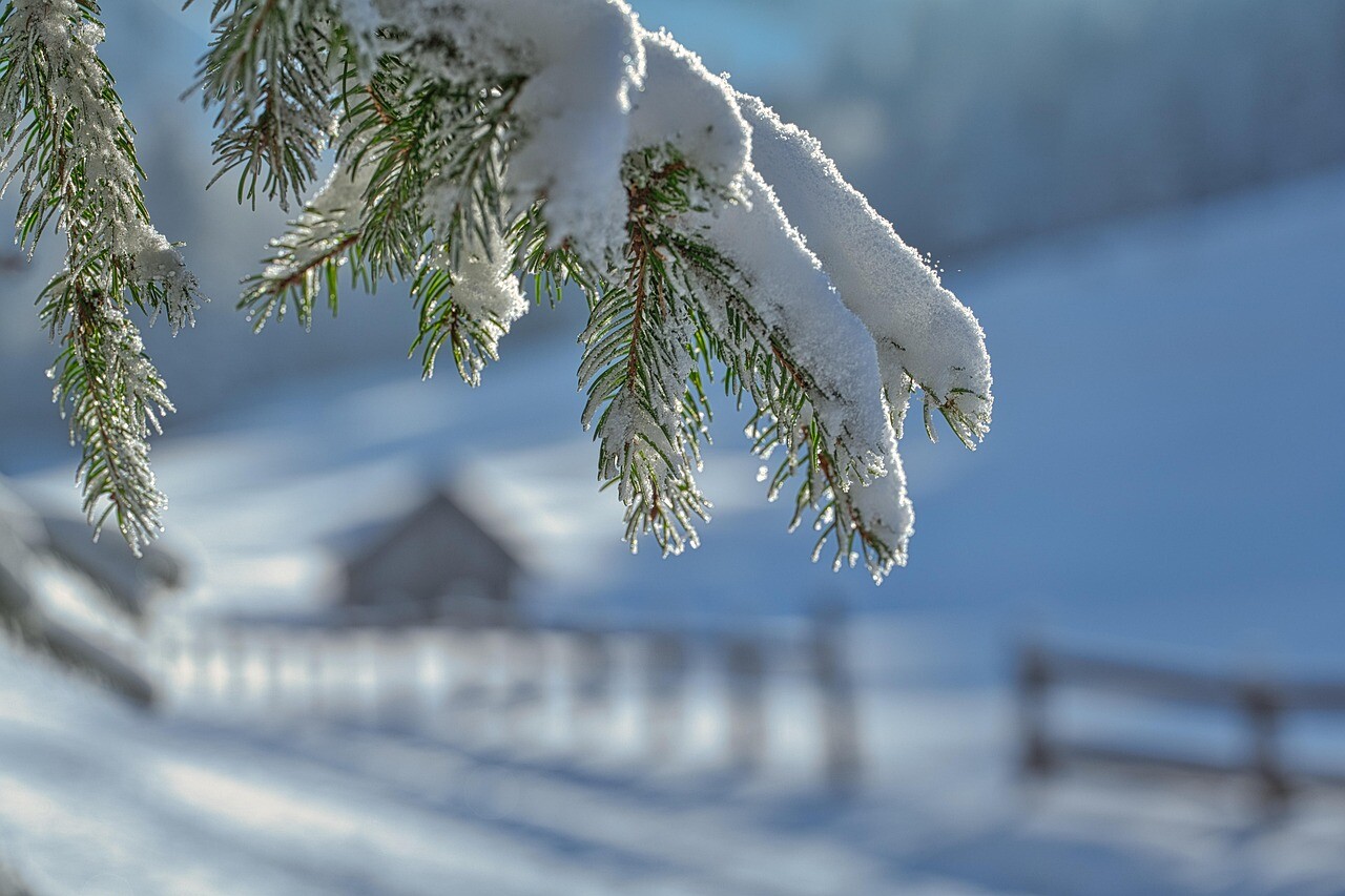 winter-7661769_1280 winter-7661769_1280